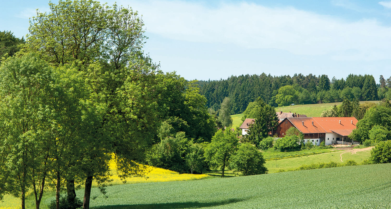 A serene countryside scene with a house, green fields, and trees.