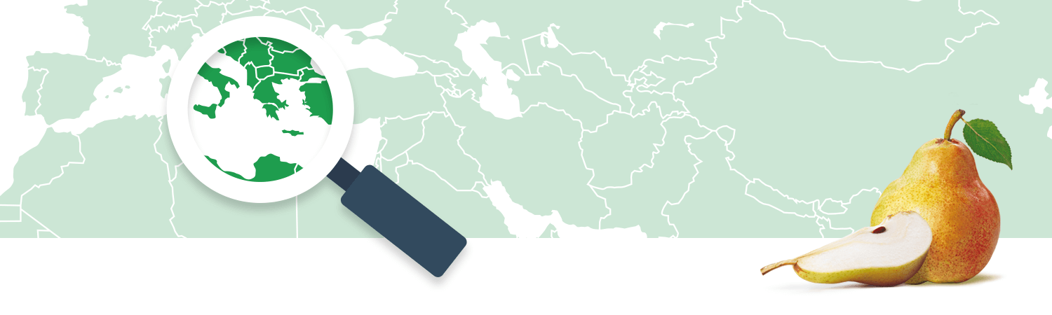 A magnifying glass focuses on a region of a world map, while a pear sits to the right.
