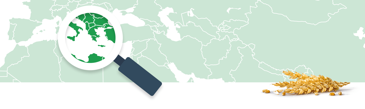 A magnifying glass focuses on a region of a world map, while a cluster of grains lies on the bottom right.
