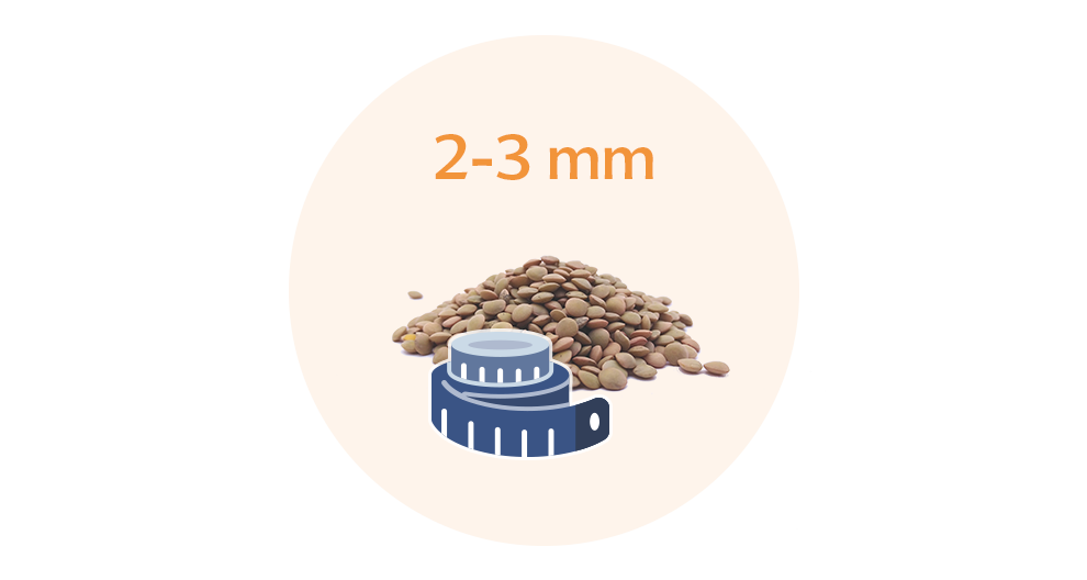 A pile of small, round, brown objects is shown alongside a measuring tape, with the text "2-3 mm" above the pile.