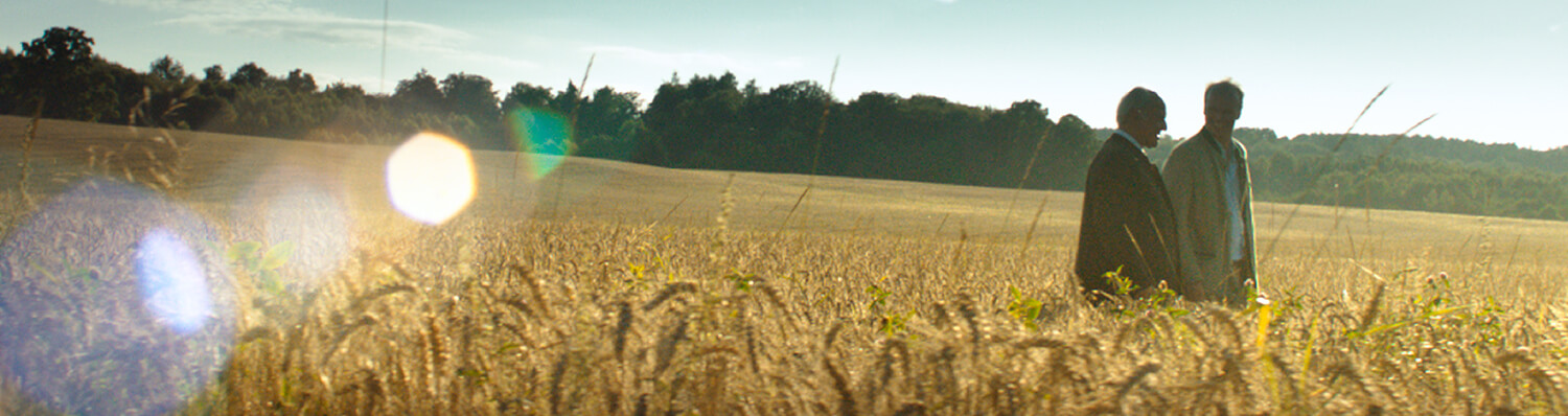 Two men stand in a field of tall grass, with a forest in the background and a bright light source creating a lens flare.