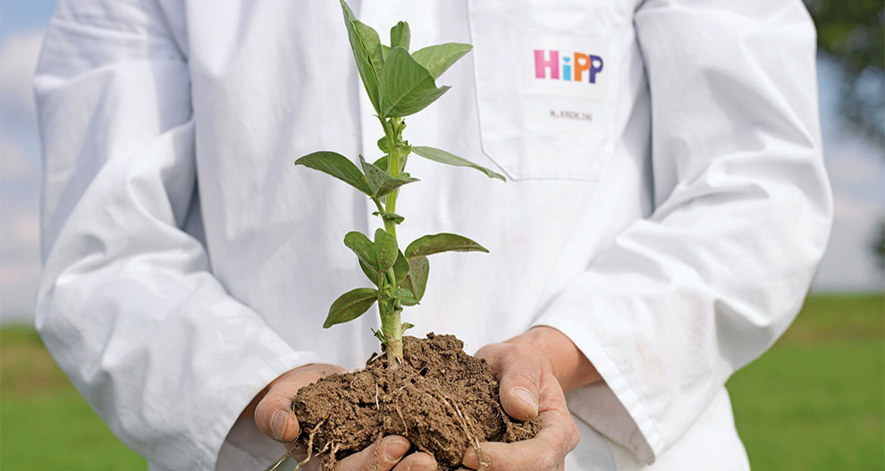 A person in a white lab coat holds a plant with soil and roots.