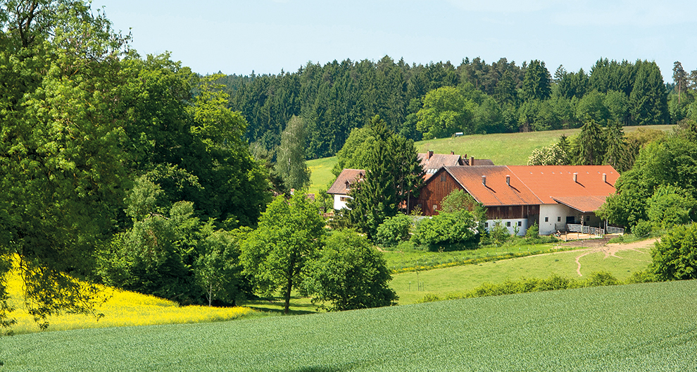 A rural landscape with a house, green fields, and a forested hill in the background.