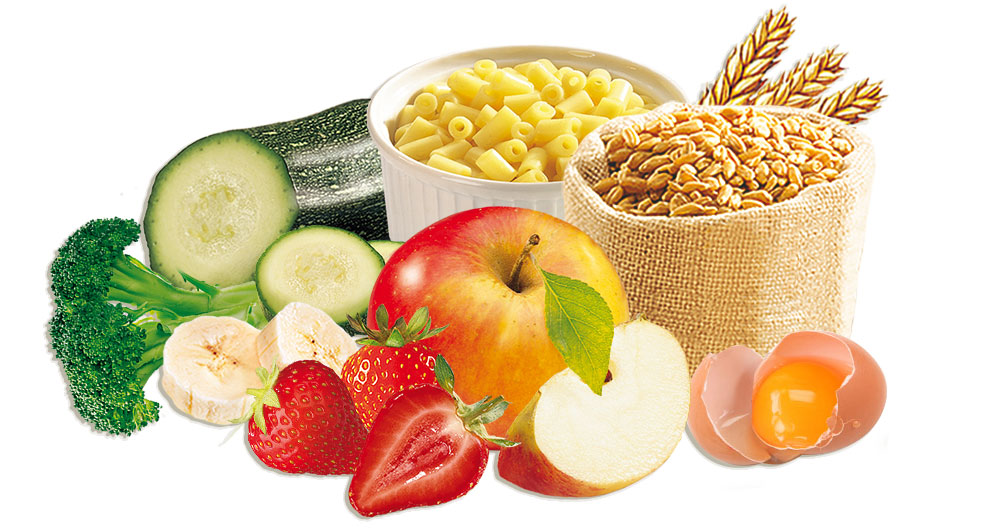 Carbohydrates, proteins, and vegetables.