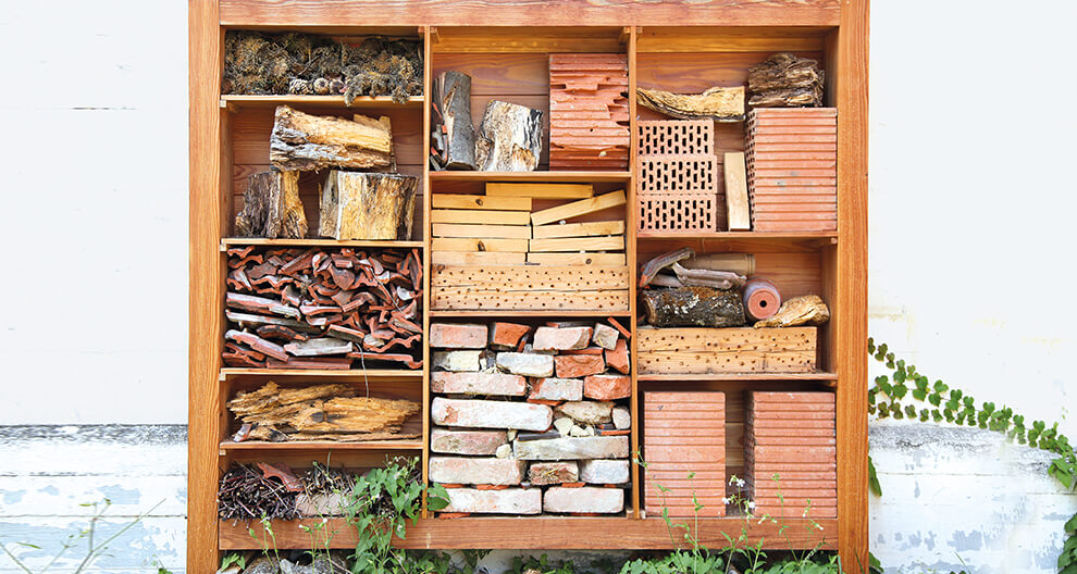 A wooden shelf filled with assorted materials, including bricks, wood, and terracotta tiles, placed against a white wall with greenery at the base.