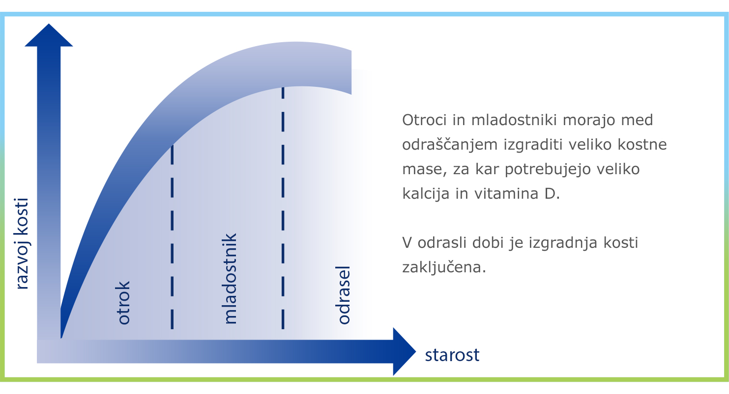 Grafični prikaz povezave med količino zaužitega kalcija in kostno gostoto s poudarkom na učinkih dodajanja vitamina D.