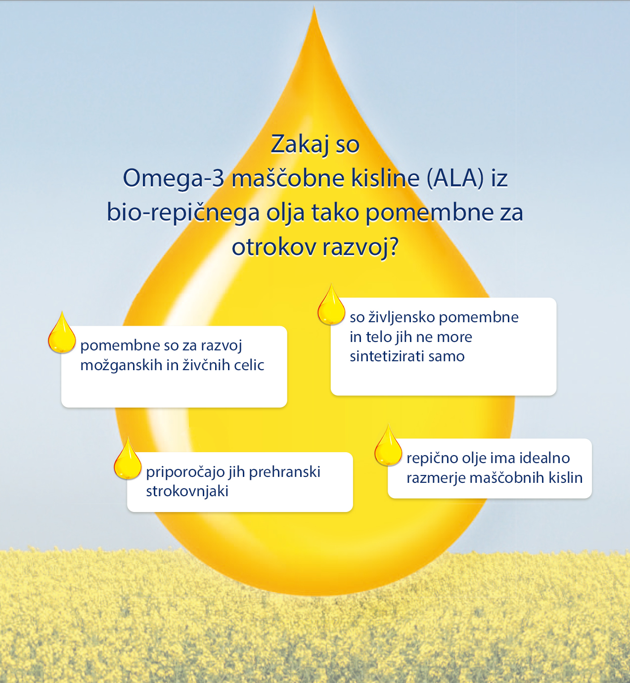 Promocijski plakat za izdelek, ki vsebuje maščobne kisline omega-3, s poudarkom na njihovih koristih za zdravje možganov in srca.