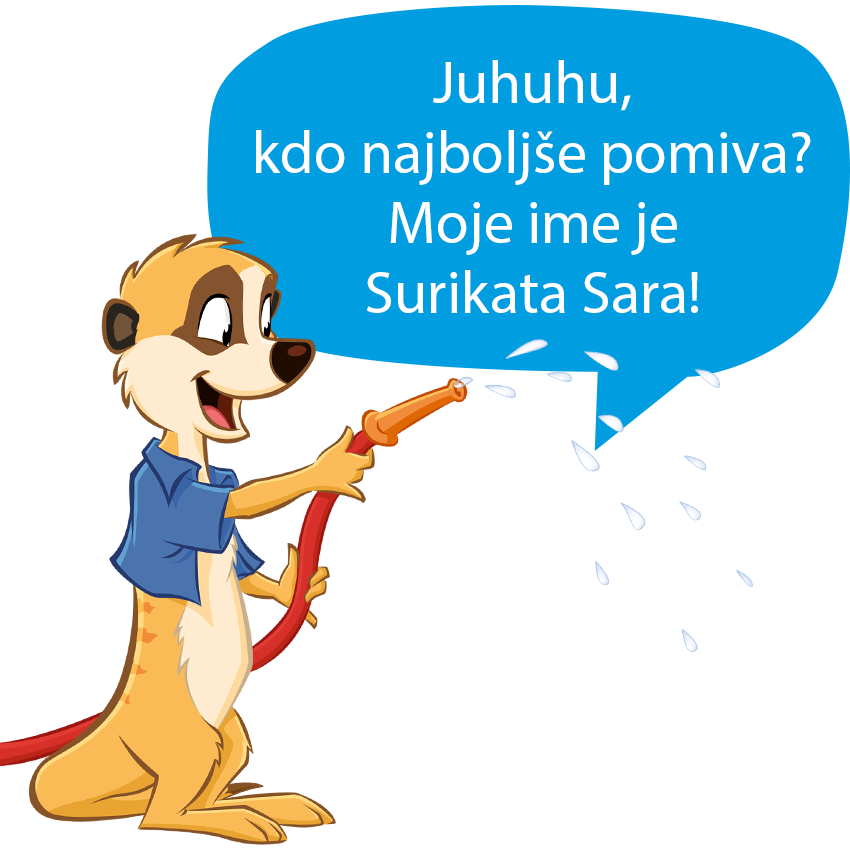 Surikat, ki drži cev in prši vodo.